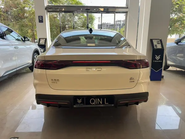 بی وای دی، چین ال DMi