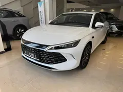 بی وای دی، چین ال DMi