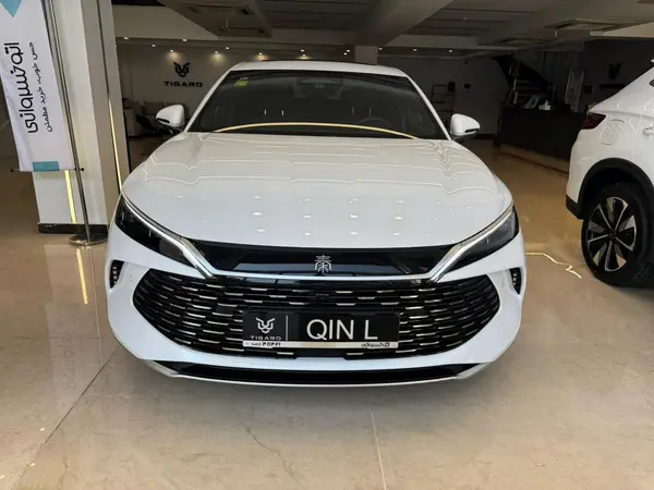 بی وای دی، چین ال DMi