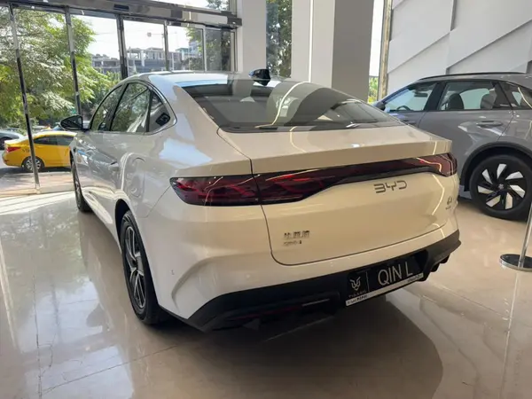 بی وای دی، چین ال DMi