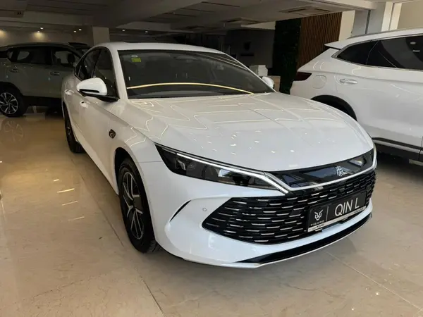 بی وای دی، چین ال DMi