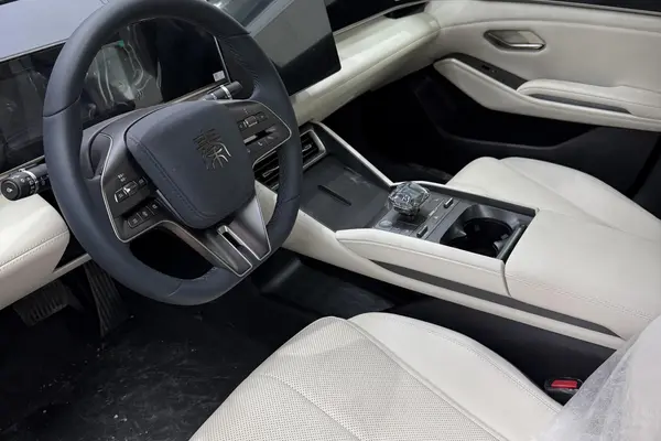 بی وای دی، چین L