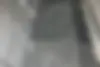 دنا،  پلاس EF7