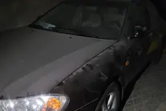 نیسان، ماکسیما