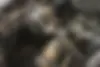 ام جی،  6