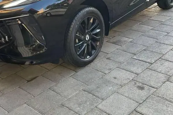 لاماری، ایما