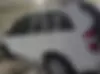 ام وی ام،  X33
