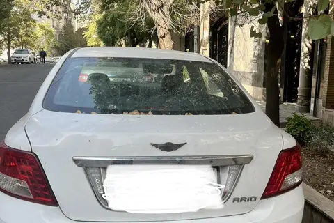زوتی، آریو