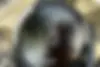 وسپا  جی تی وی 300