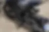 بنلی،  249R
