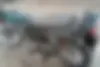 کثیر،  رهرو CDI 200