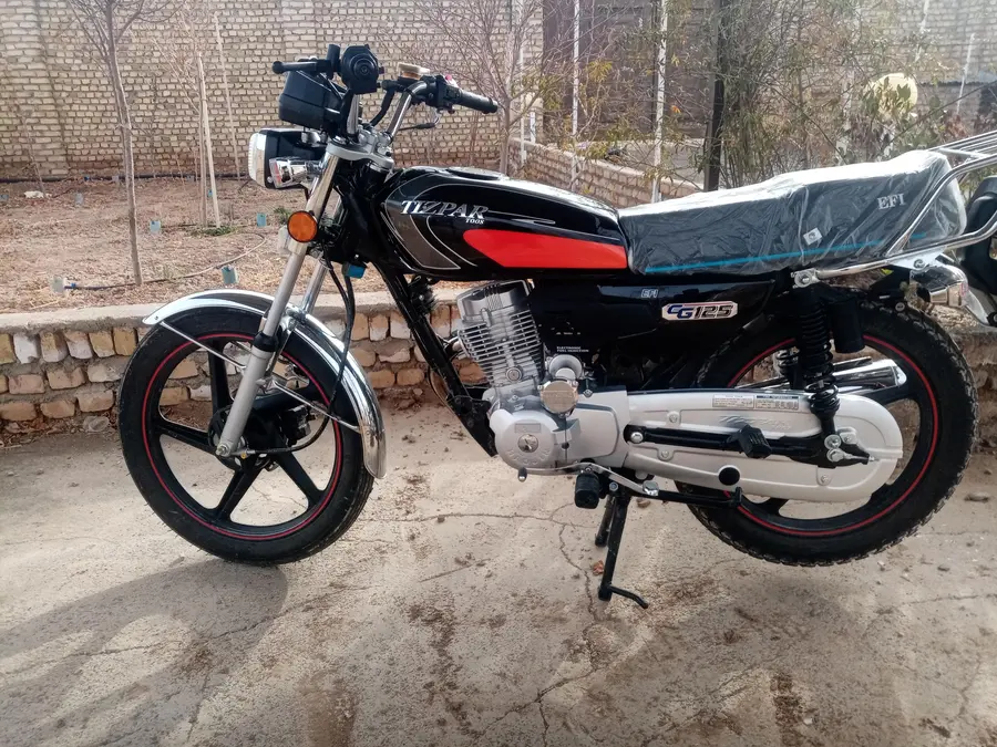 تیزپر توس، 125