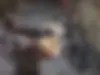 سوکو، TC