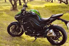های پرو، 250