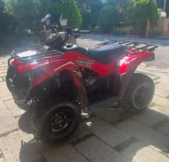 کاوازاکی، بروت فورس 300
