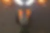 کاوازاکی،  Z1000