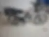 سالار گستر،  دش