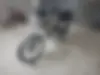 سالار گستر،  دش