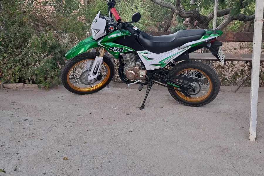 ایران دوچرخ، DS230