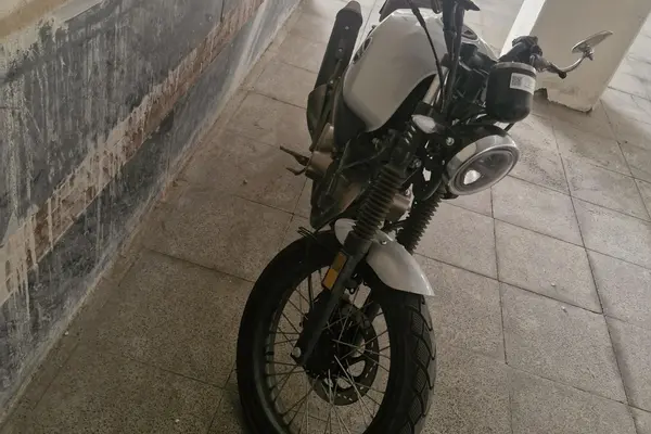 زونتس  N2 230