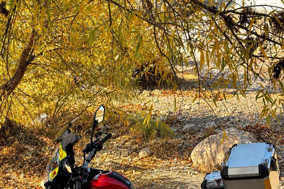 نیرو محرکه،  نامی RX249