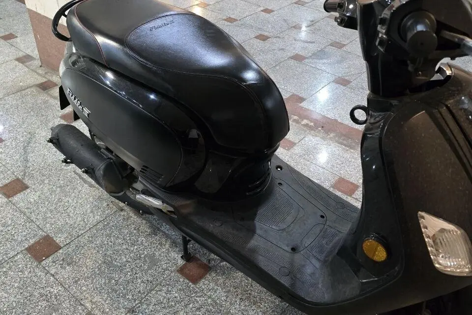 اس وای ام،  فیدل 3