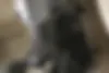 سی اف موتو  CF 250 SR