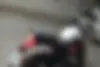 بنلی، TNT 300