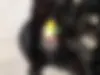 باجاج،  پالس 220
