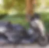 یاماها، XMAX 250