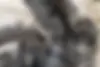 دینو،  Z2