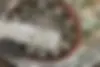 توسن محركه شرق،  باسل TS