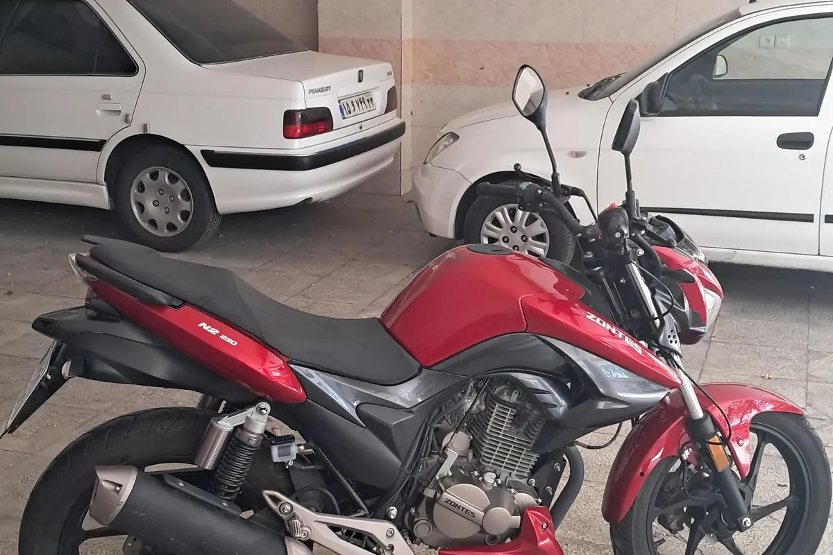 زونتس  N2 230