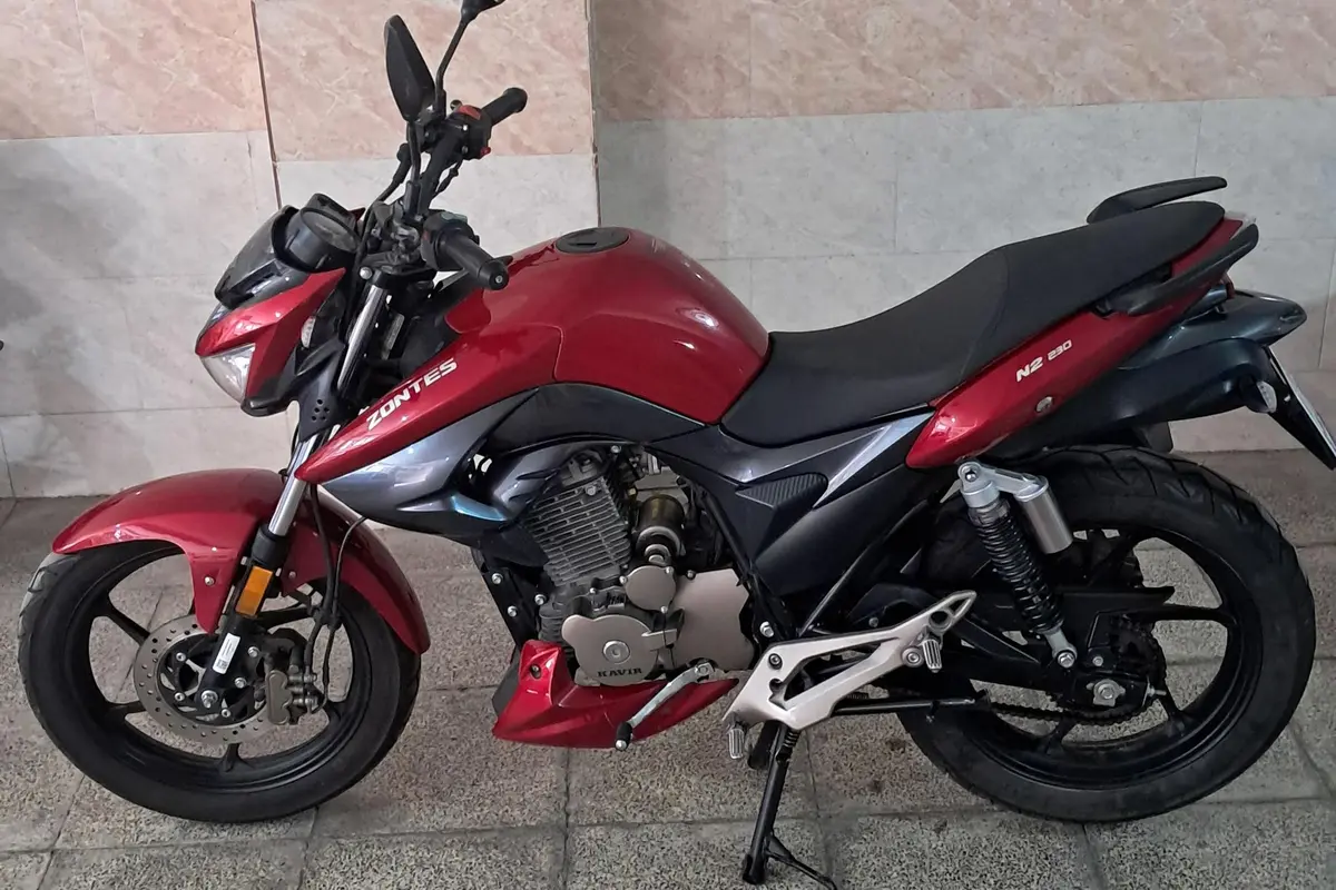 زونتس  N2 230