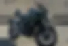 کاوازاکی،  Z 248N