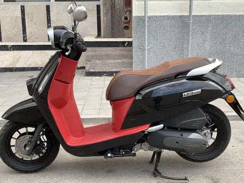 کیو جی موتور، LTR 150