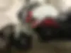 بنلی، TNT 300