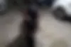 تی وی اس  آپاچی 160