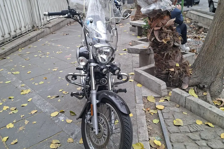 باجاج، اونجر 220