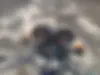 باجاج،  بوکسر 150