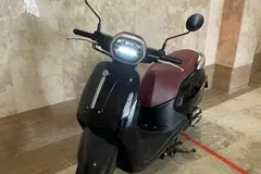 بنلی، پانارئا 125