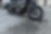 دینو  250CC