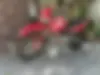 کویر موتور، 250
