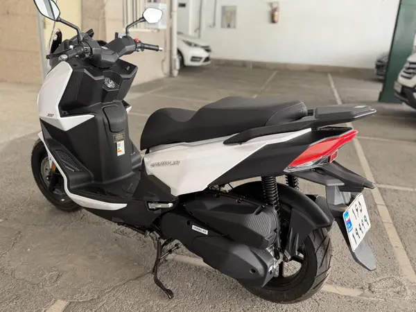 اس وای ام  JR300