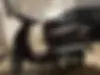 بنلی، پانارئا 125