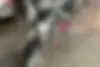 بنلی،  TNT 25N