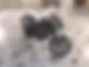 بنلی،  TNT 150