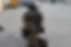 وسپا  جی تی اس 300