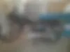 هوندا،  CG 125