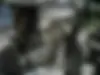 ایژ روستا  350